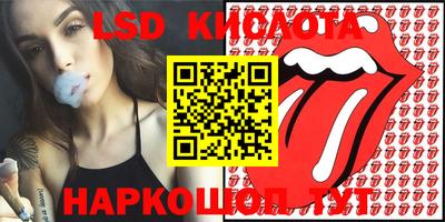 прущие грибы Берёзовский
