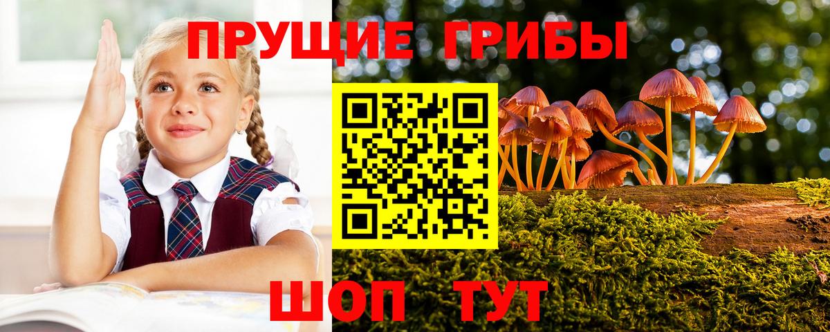 Галлюциногенные грибы прущие грибы  Вход с VPN  Кемерово  Псилоцибиновые грибы мицелий 