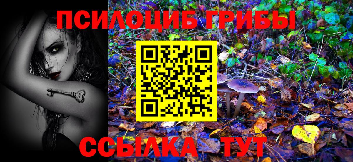 Галлюциногенные грибы MAGIC MUSHROOMS Кемерово